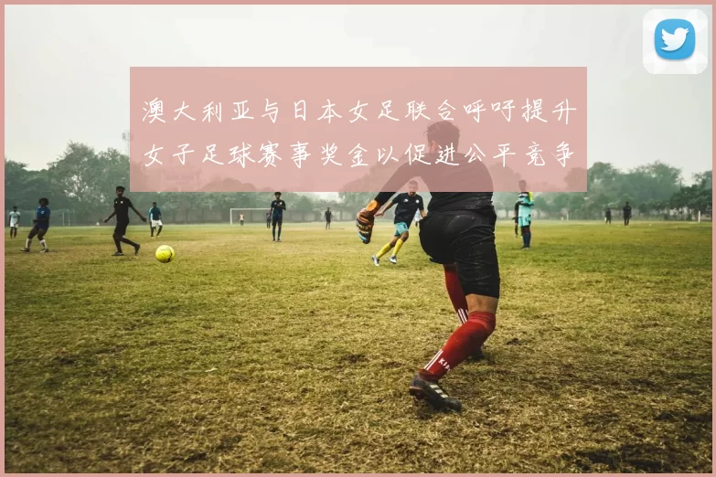 澳大利亚与日本女足联合呼吁提升女子足球赛事奖金以促进公平竞争